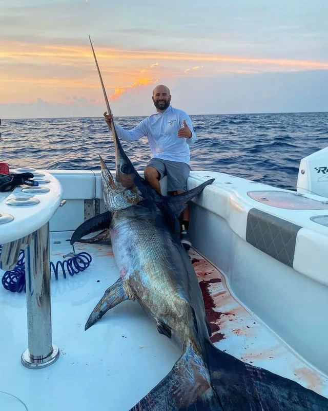 marlin · Mar Gris